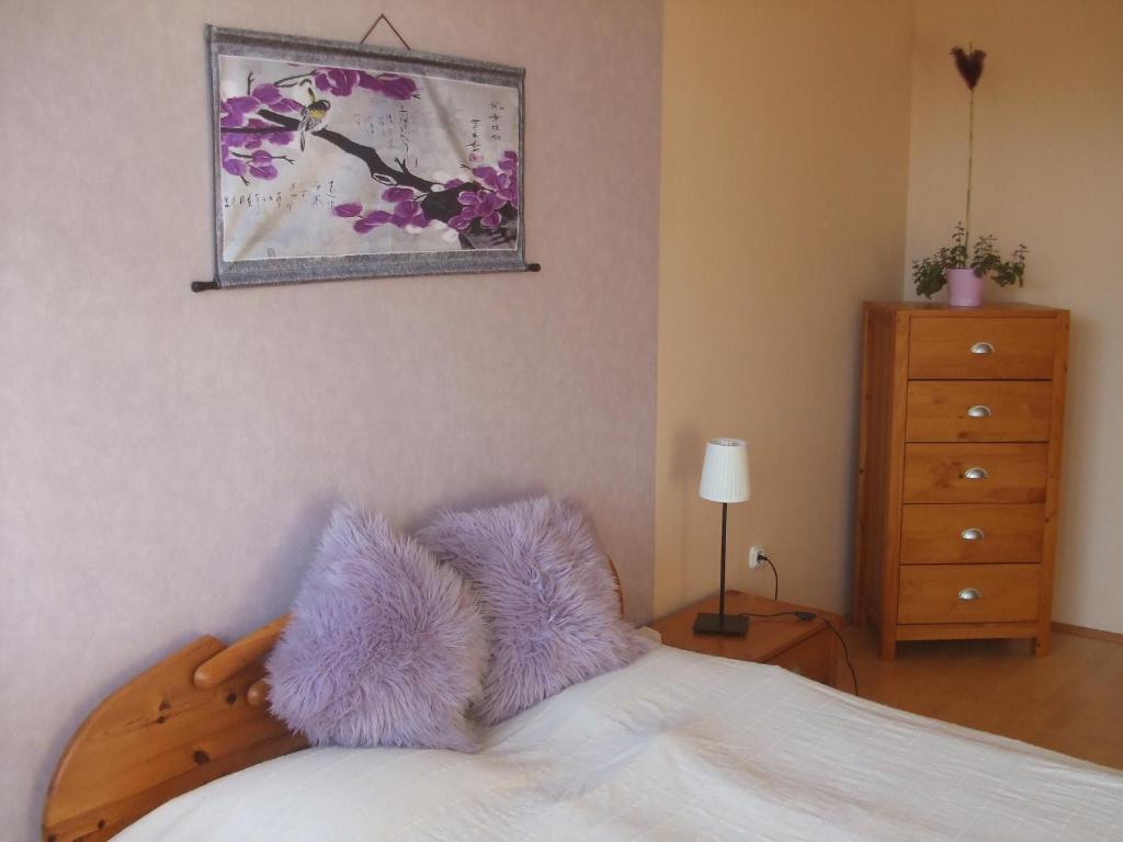 Feng Shui Wellness Apartmanhaz ヘーヴィーズ エクステリア 写真
