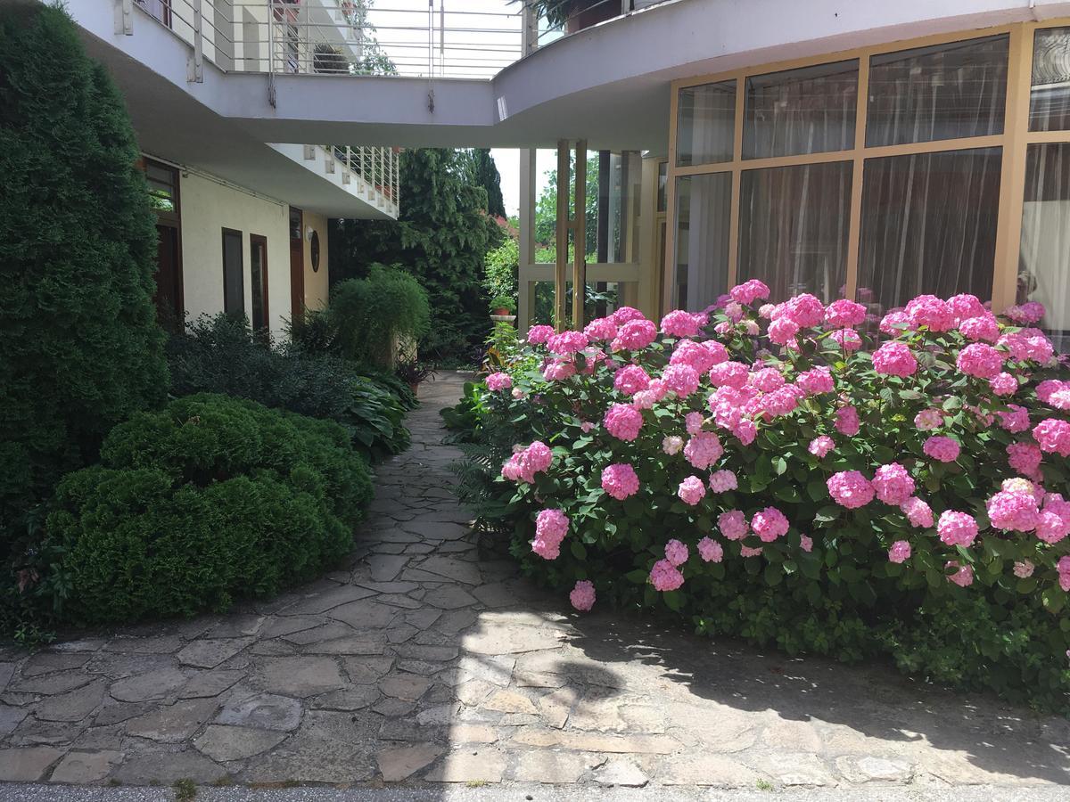 Feng Shui Wellness Apartmanhaz ヘーヴィーズ エクステリア 写真